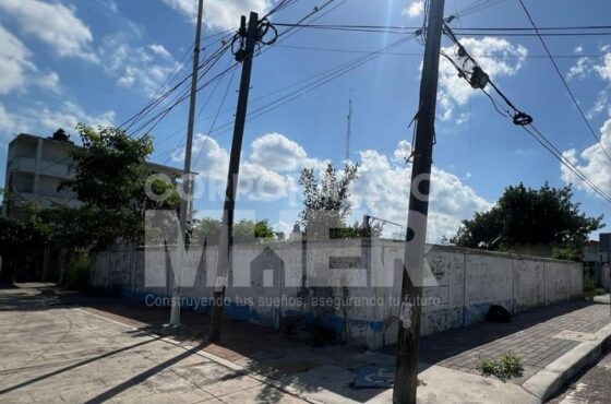 Zona centro