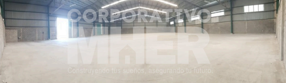 Captura de pantalla 2026-01-14 174500