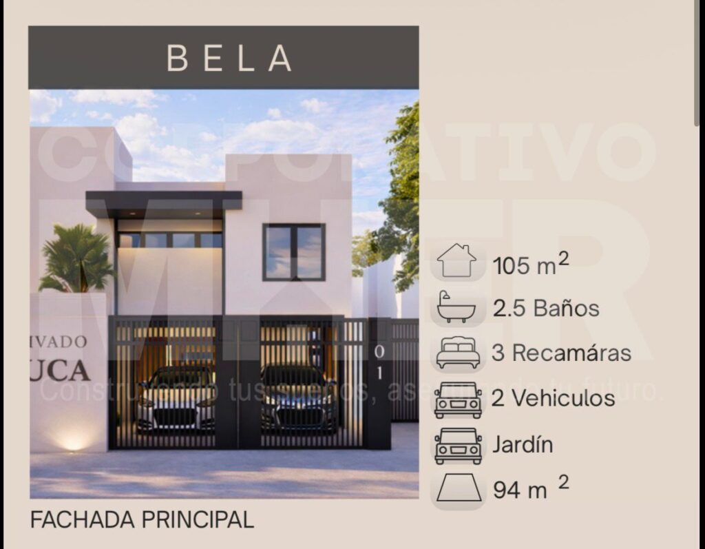 WhatsApp Image 2026-06-03 atcasabela (6)