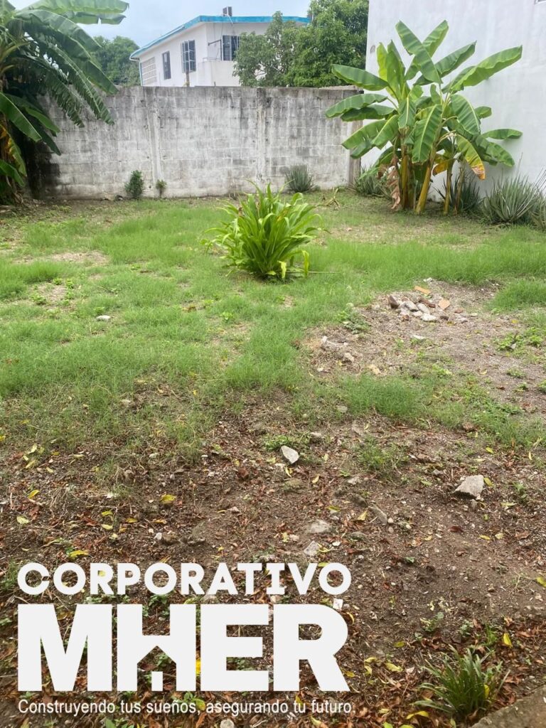 WhatsApp Image 2026-06-17 atTesfuerzoobrero (2)